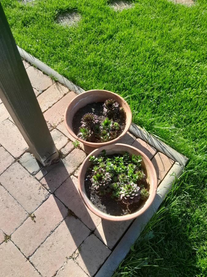 Lila Fuge Apartman Apartment Balatonfured Luaran gambar